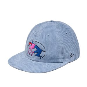 THE ZOOMIES 6 PANEL HAT
