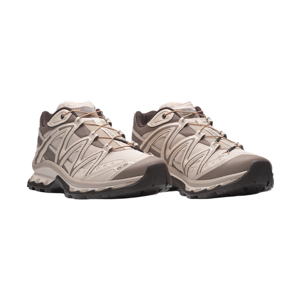 XT-QUEST - Imagen 3